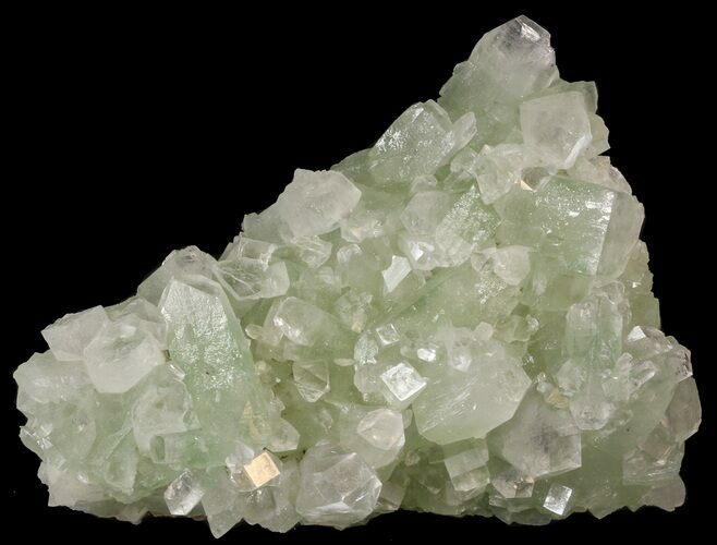 Zoned Apophyllite Crystal Cluster - India #44434